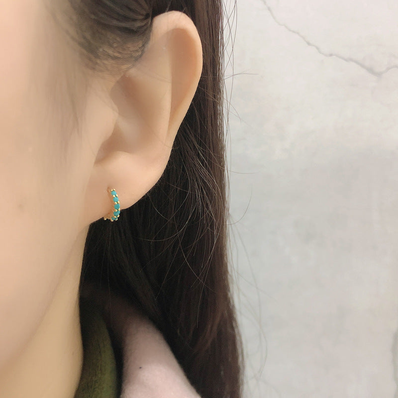 S925 Silver Circle Inlaid Zirconia Earrings