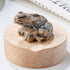Natural Crystal Frog Crystal Raw Stone DIY Animal Mineral Specimen Ornaments